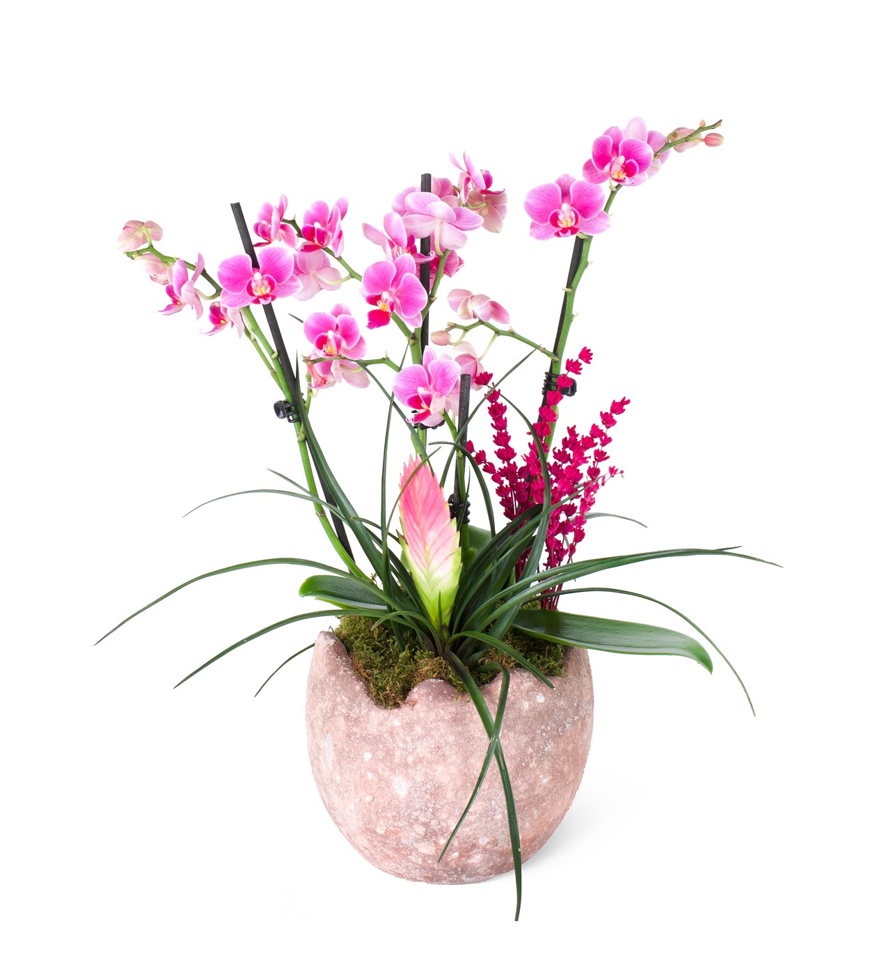 Pembe Multi Midi Orkide ve Hava Çiçeği Aranjmanı Pink Paradise
