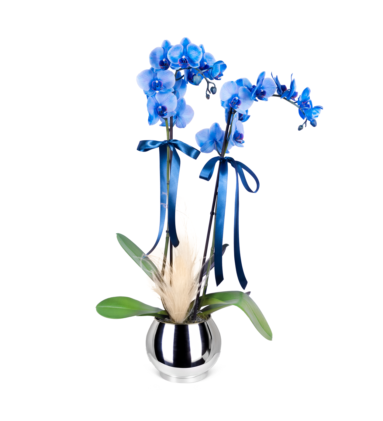Aynalı Vazoda Mavi Orkide Aranjmanı 